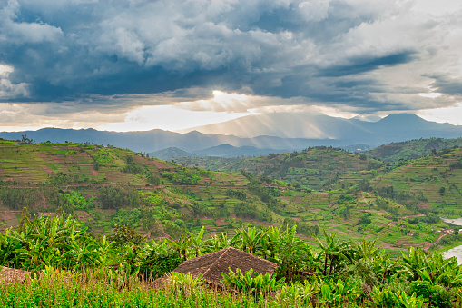 South Uganda landscapes