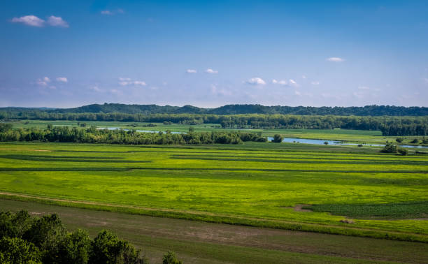 campi agricoli sulla pianura alluvionale del fiume missouri in una chiara giornata estiva - clear sky panoramic grass scenics foto e immagini stock