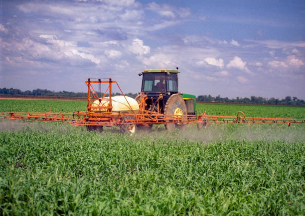 Tractor fumigating a sesame field, Portuguesa state, Venezuela