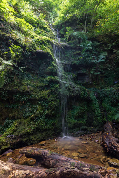 istock Small waterfall in a forest next to San Millan mountain (Burgos - Spain) 1254111658