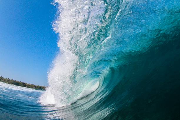 istock Large blue wave in the jungle in Indonesia 1254111730