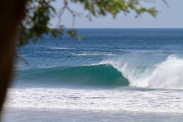 istock Large tropical blue wave in Costa Rica 1254111746