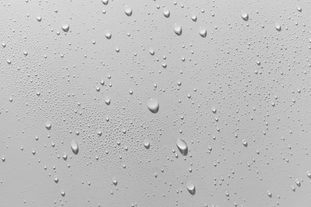 istock Close up of water drops on white background. 1254112814