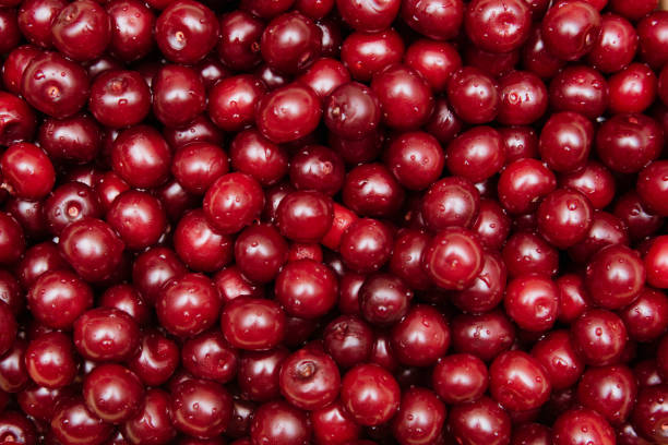 istock Cherries background. Cherry with drops. Food background.Top view 1254114387