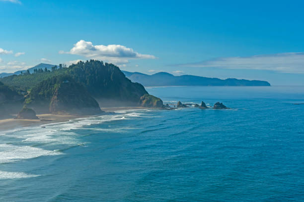 istock Morning Haze on a Rocky Coast 1254114579