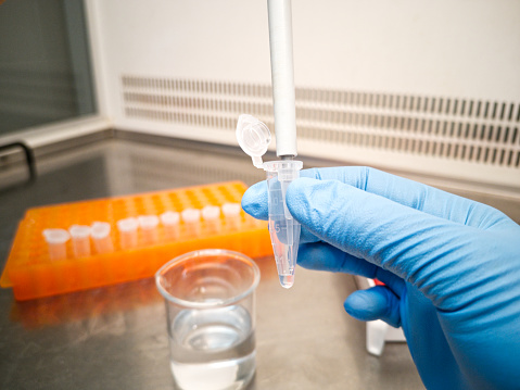 Lab technician in blue medical gloves using an electronic pipette to put liquid in an eppendorf. Researcher and laboratory concepts.