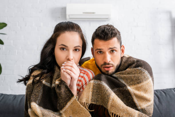 istock Young couple looking at camera while wrapping in plaid at home 1254115398