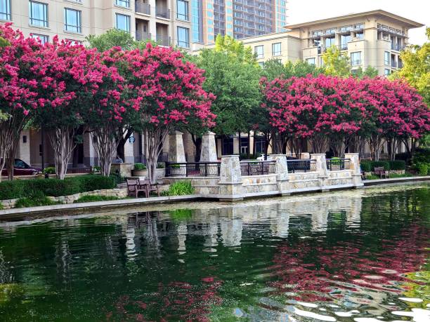 istock Colorful trees surrounding lake 1254116669