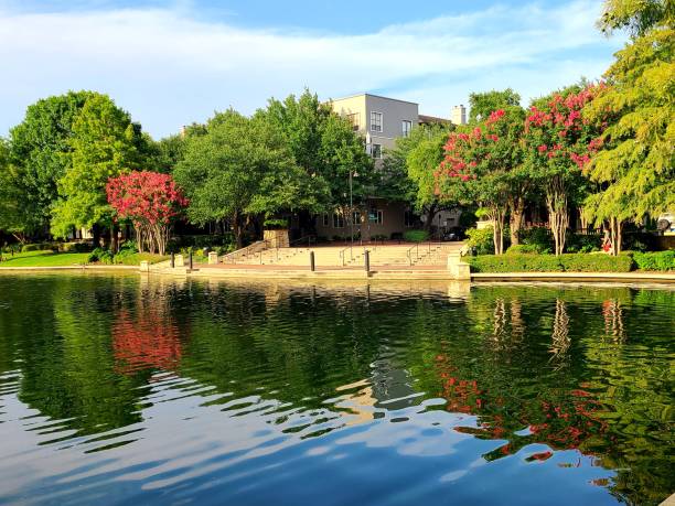 istock Colorful trees surrounding lake 1254116681