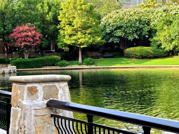 istock Colorful trees surrounding lake with fountain 1254116764