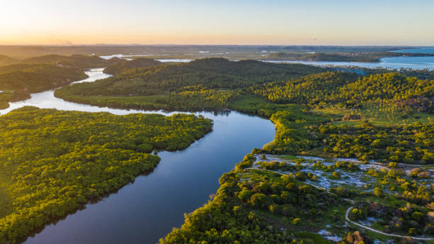 coucher du soleil sur la rivière - brazil environment nature sunlight photos et images de collection