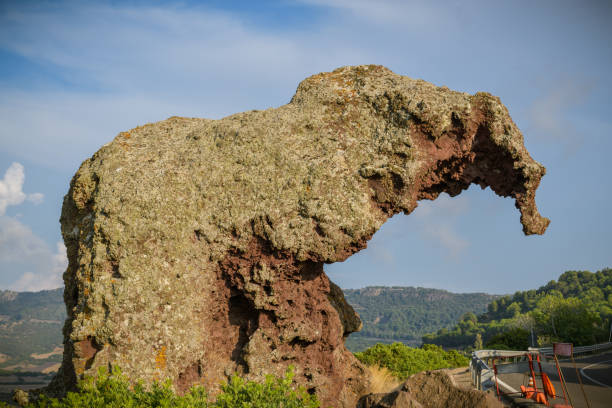 istock Famous elephant's rock close to Castelsardo on Sardinia 1254117910