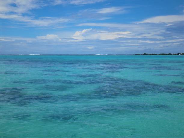 istock The most beautiful beach in Moorea, French Polynesia 1254120208