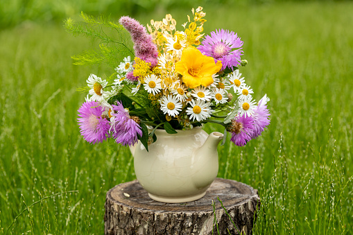 A bouquet of wild flowers in an old small village teapot on a background of green grass. Copy space. Selective focus