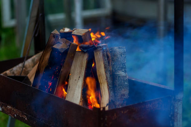palenie węgla drzewnego w ogniu do grillowania - char grilled fire coal heat zdjęcia i obrazy z banku zdjęć