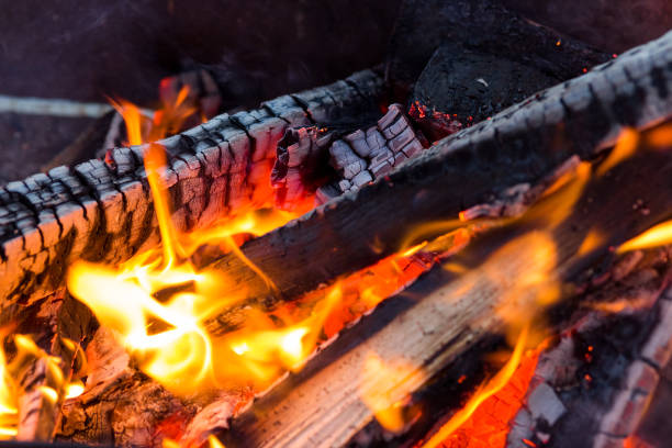 palenie węgla drzewnego w ogniu do grillowania - char grilled fire coal heat zdjęcia i obrazy z banku zdjęć