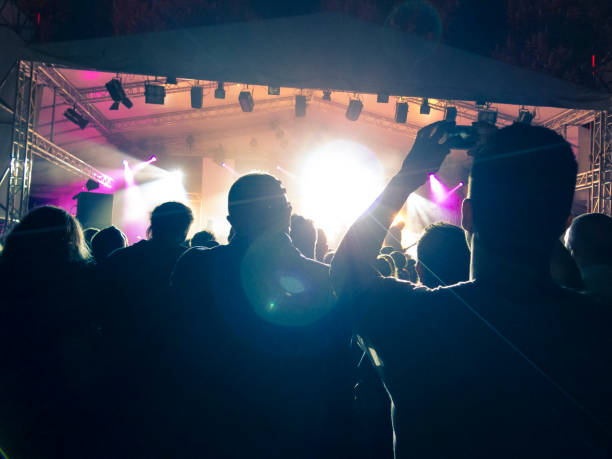 istock Music festival crowd 1254121792