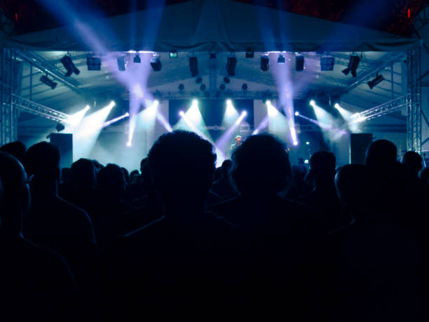 istock Music festival crowd 1254121809