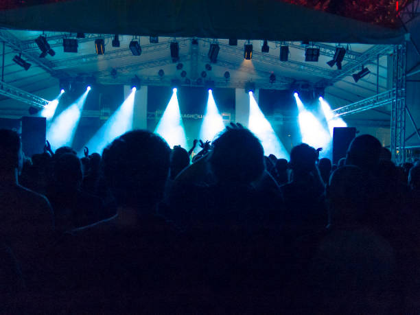 istock Concert hall with people silhouettes 1254121811