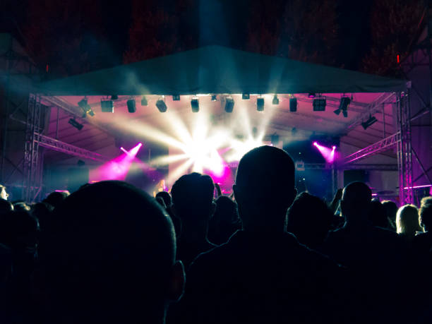 istock Music festival crowd 1254122723