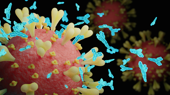 Abs COVID-19 antibody - 3d rendered image structure view on black background. \nViral Infection concept. MERS-CoV, SARS-CoV, ТОРС, 2019-nCoV, Wuhan Coronavirus.\nAntibody, Antigen, Vaccine concept.
