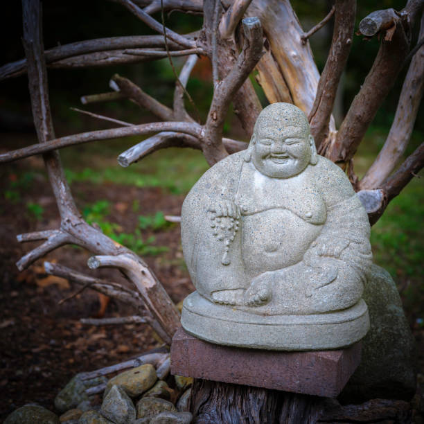 Laughing Buddha sitting on a stone in the garden surrounded by dried driftwoods decoration Asian style garden decoration with statue and ocean driftwoods laughing buddha garden statue stock pictures, royalty-free photos & images