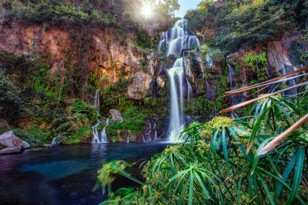 egrets waterfall at saint-gilles-les-bains - natural phenomenon waterfall rock tranquil scene imagens e fotografias de stock