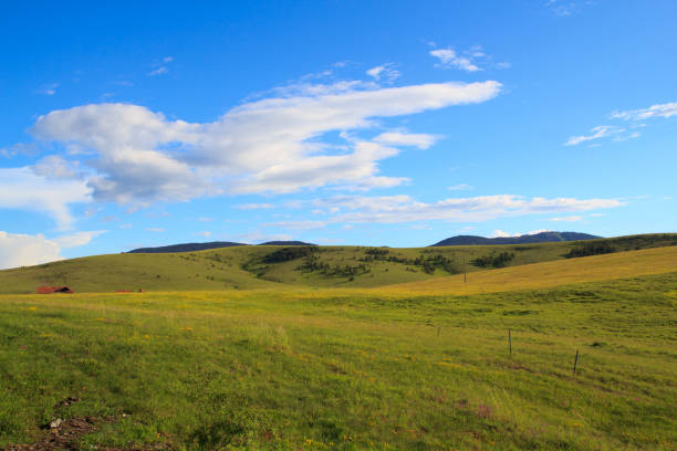 istock Field in Zlatibor 1254125147
