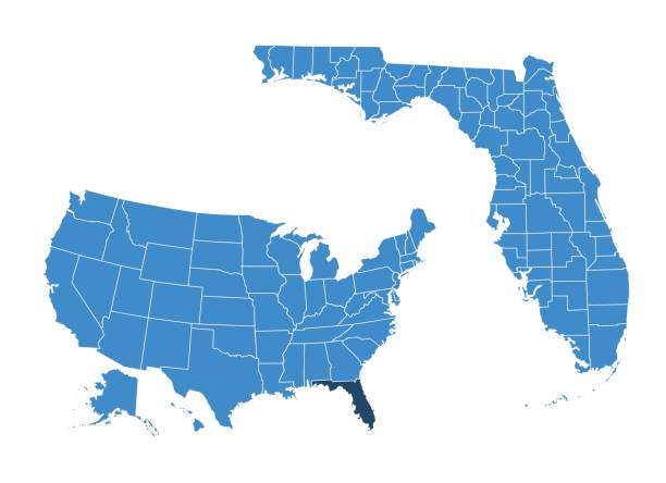 illustrazioni stock, clip art, cartoni animati e icone di tendenza di mappa dello stato della florida - florida state