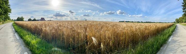 Panoramic view over a agriculture country field in the province of Limburg