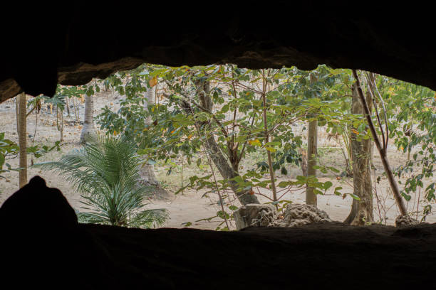 istock PANORAMIC VIEW LANDSCAPE, CAVE FROM PHILIPPINES, PALAWAN, 2019 1254130399