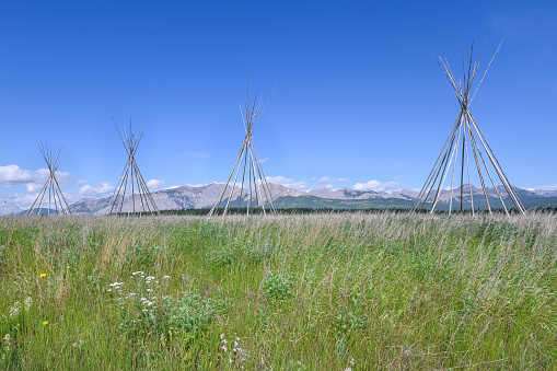 Tipi Poles on the Stoney Indian Reserve at Morley, Alberta, Canada