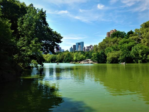 istock Lush green Central Park in New York 1254138576