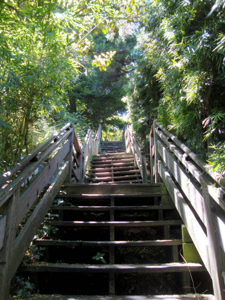 istock Filbert Street Stairs 1254142739