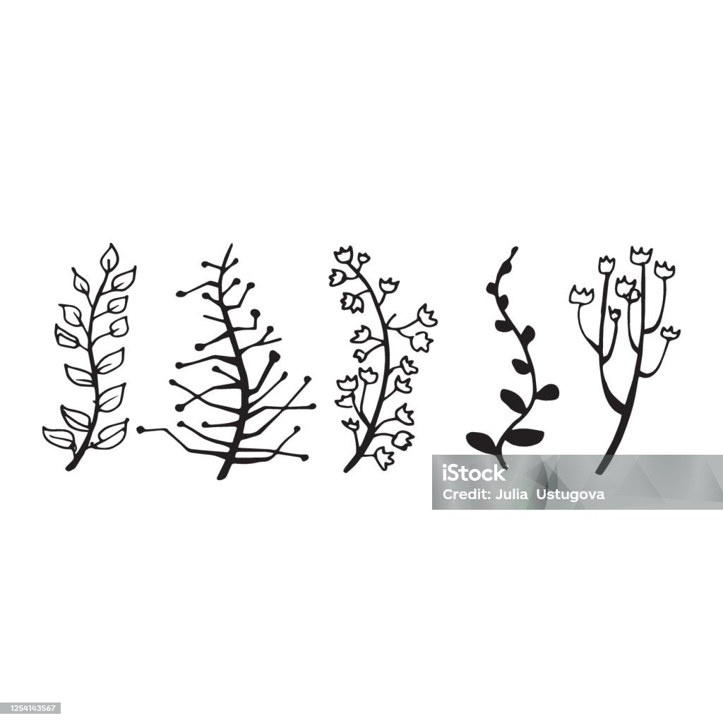 Branch Drawing Set Hand Drawing Branch Stock Illustration - Download Image Now - Black ...