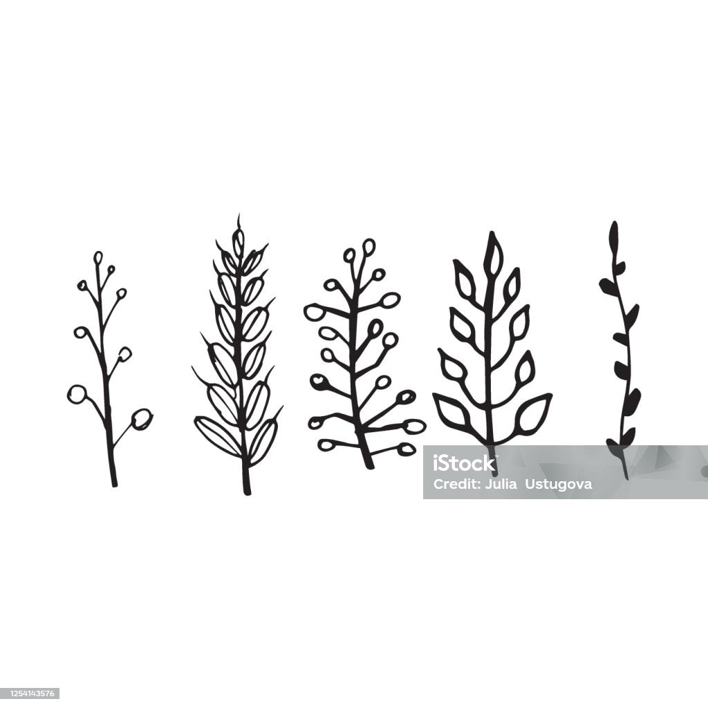 Branch Drawing Set Hand Drawing Branch Stock Illustration - Download Image Now - Black ...