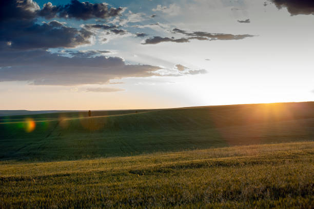 istock Rolling Nature with sun, sunlight, sunbeam, clouds and Lens Flare 1254144585
