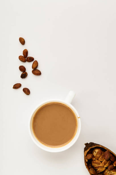 istock High Angle View Of Cocoa pods and cocoa beans 1254148496