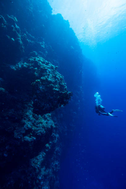 istock Palau scuba diving 1254151088