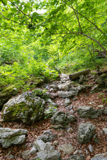 istock Hiking Path Via Ferrata at the Weichtalklamm in Lower Austria 1254151927