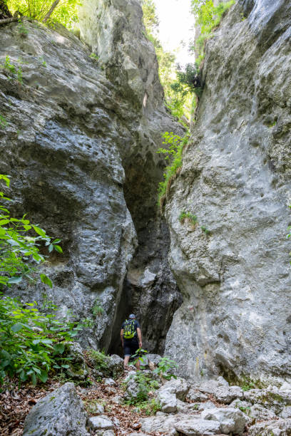 istock Hiking Path Via Ferrata at the Weichtalklamm in Lower Austria 1254151940