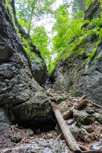 istock Hiking Path Via Ferrata at the Weichtalklamm in Lower Austria 1254151958