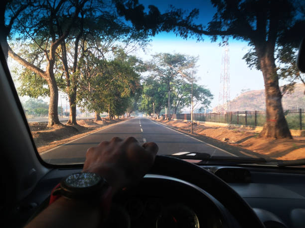 istock Driving car into the forest 1254156943