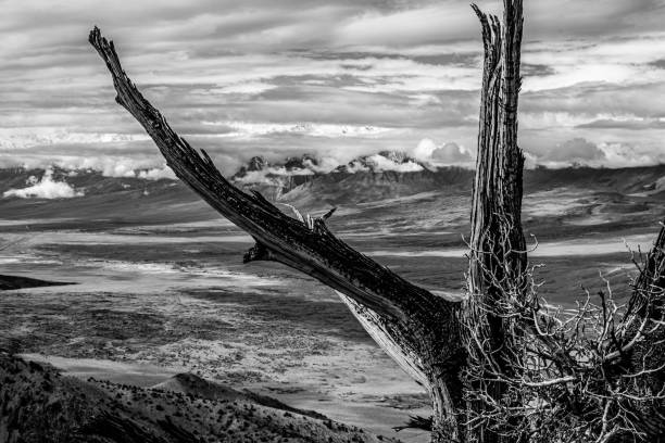 istock Looking Across Valley in B&W 1254160772