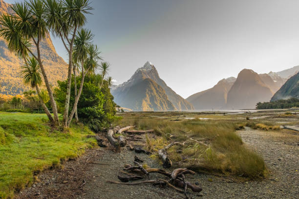 istock Vies of Milford Peak 1254165757