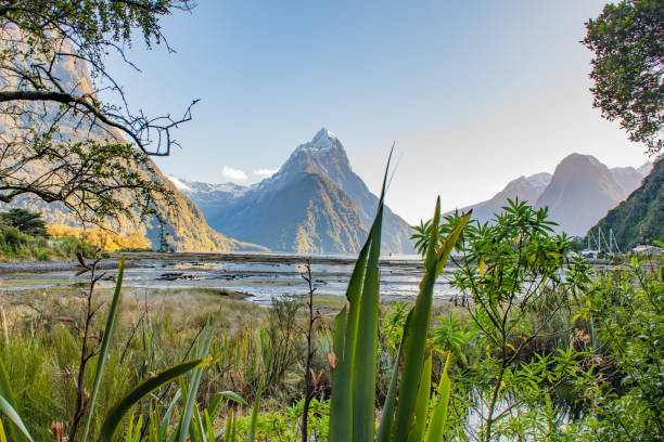 istock Mitre Peak and Mlford Sound 1254165795