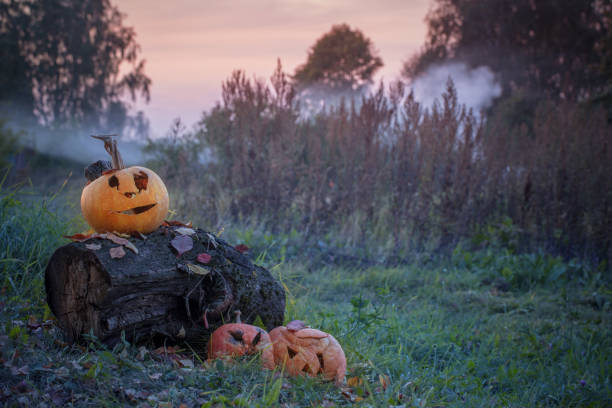 istock old spoiled Halloween pumpkin outdoor 1254166501