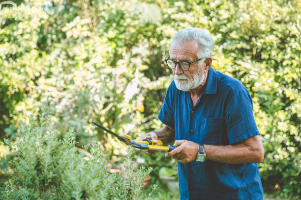 istock Senior elderly working during stay at home holiday activity pruning plants at backyard. 1254169854