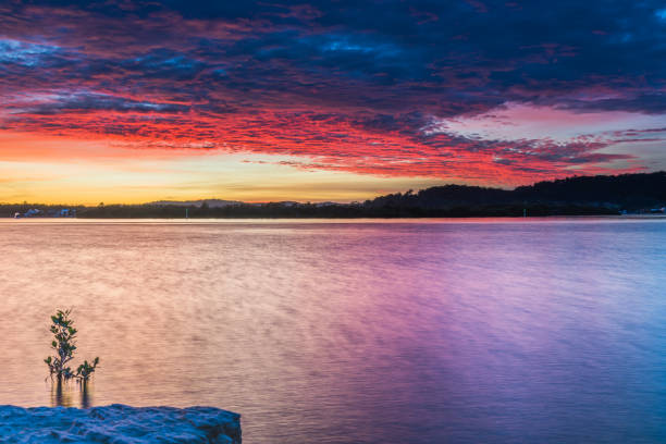 istock High Cloud Sunrise over the Bay 1254176273