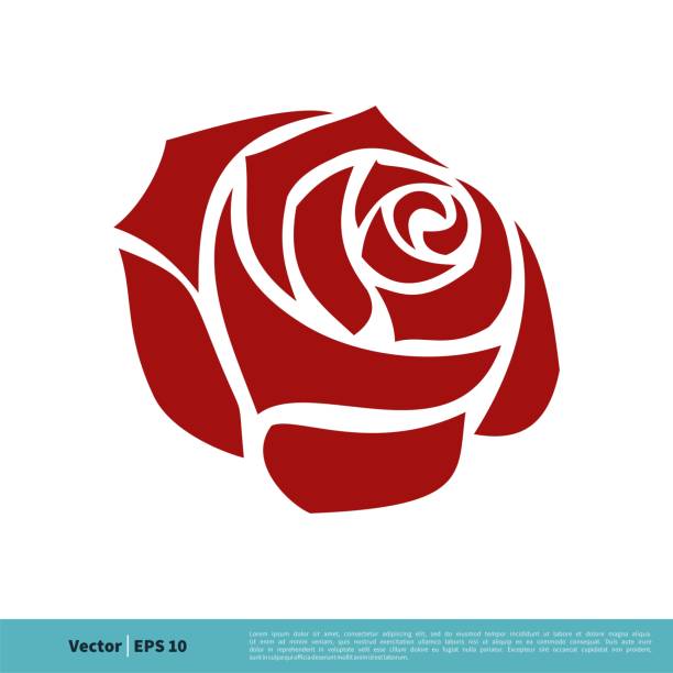 ilustraciones, imágenes clip art, dibujos animados e iconos de stock de diseño de la ilustración de la plantilla del logotipo vectorial del icono de la flor de la flor de la rosa roja. vector eps 10. - rose colored illustrations